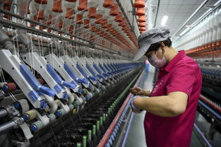 宁夏固原 产业扶贫铸就致富路，技术转让赋能新篇章